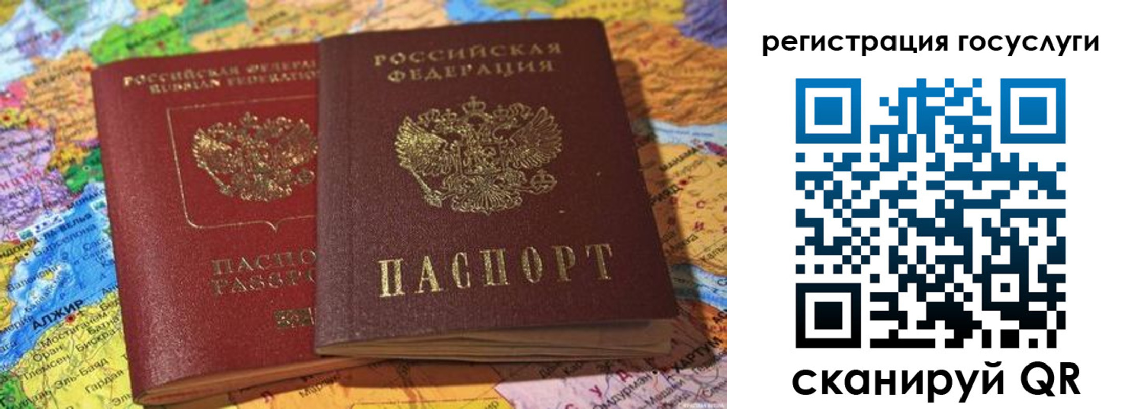прописка поиск в Светлом