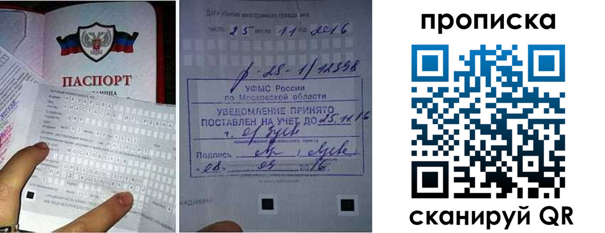 регистрация в Светлом